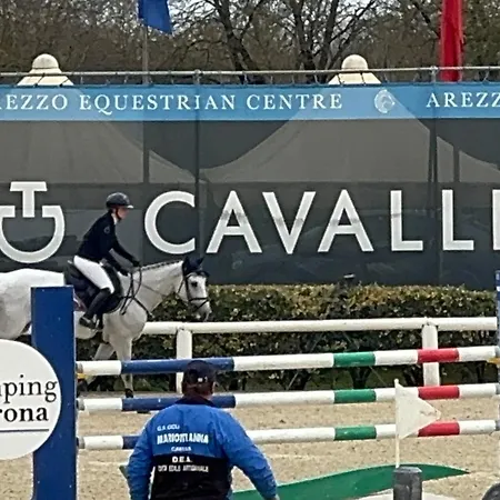 Flavia Arezzo